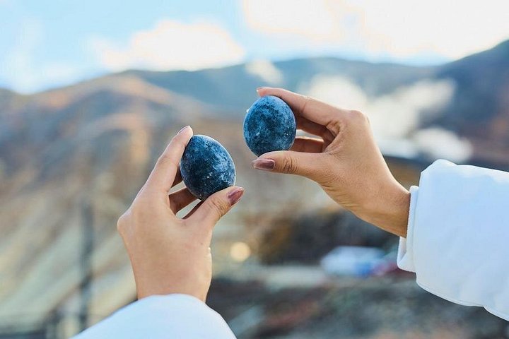 Passeio de um dia de Tóquio ao Monte Fuji e Hakone, com cruzeiros, teleféricos e vistas panorâmicas, foto 16 | wizardtrip