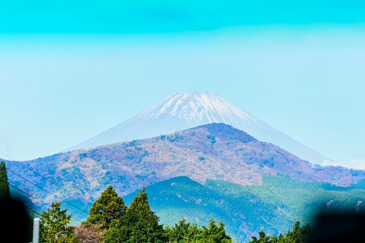 Passeio de um dia de Tóquio ao Monte Fuji e Hakone, com cruzeiros, teleféricos e vistas panorâmicas, foto 17 | wizardtrip