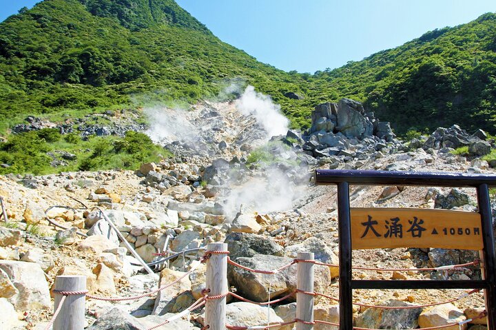 Passeio de um dia de Tóquio ao Monte Fuji e Hakone, com cruzeiros, teleféricos e vistas panorâmicas, foto 19 | wizardtrip