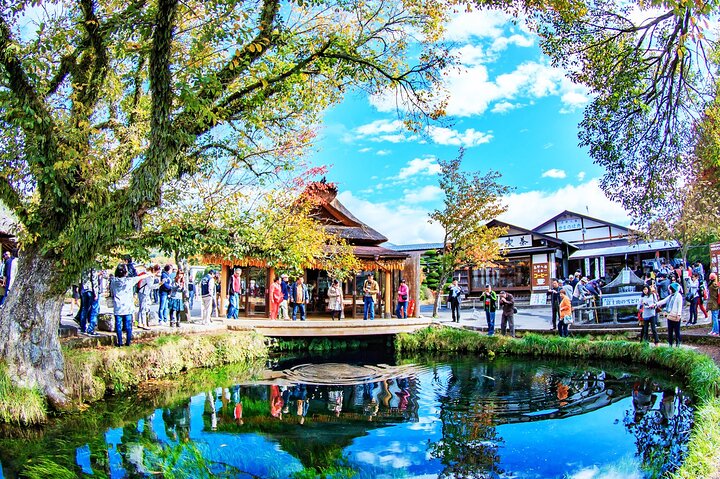 Passeio de um dia de Tóquio ao Monte Fuji e Hakone, com cruzeiros, teleféricos e vistas panorâmicas, foto 23 | wizardtrip