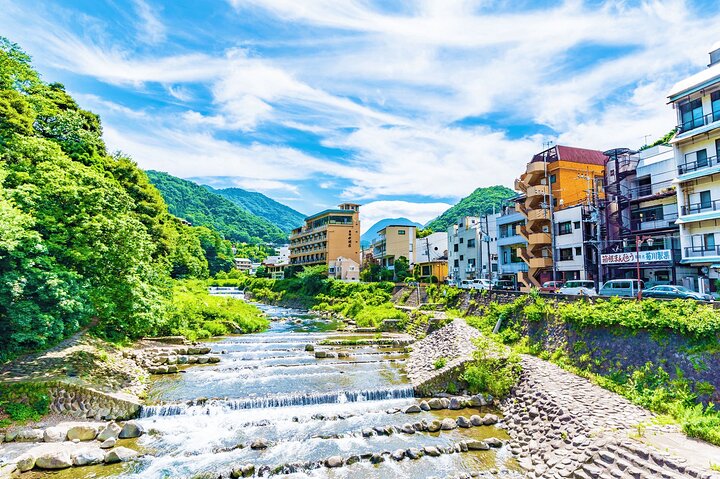 Passeio de um dia de Tóquio ao Monte Fuji e Hakone, com cruzeiros, teleféricos e vistas panorâmicas, foto 24 | wizardtrip