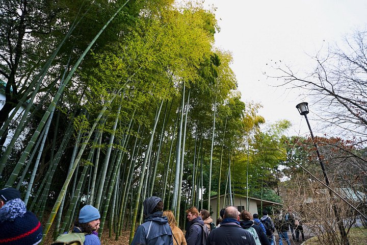Historische wandeltocht door het Keizerlijk Paleis van Tokio en de ruïnes van Edo Castle, gericht op samurai-geschiedenis, foto 11 | wizardtrip