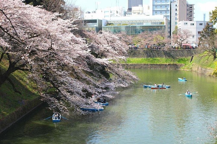 Historische wandeltocht door het Keizerlijk Paleis van Tokio en de ruïnes van Edo Castle, gericht op samurai-geschiedenis, foto 17 | wizardtrip