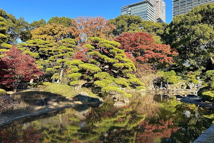 Historische wandeltocht door het Keizerlijk Paleis van Tokio en de ruïnes van Edo Castle, gericht op samurai-geschiedenis, foto 18 | wizardtrip