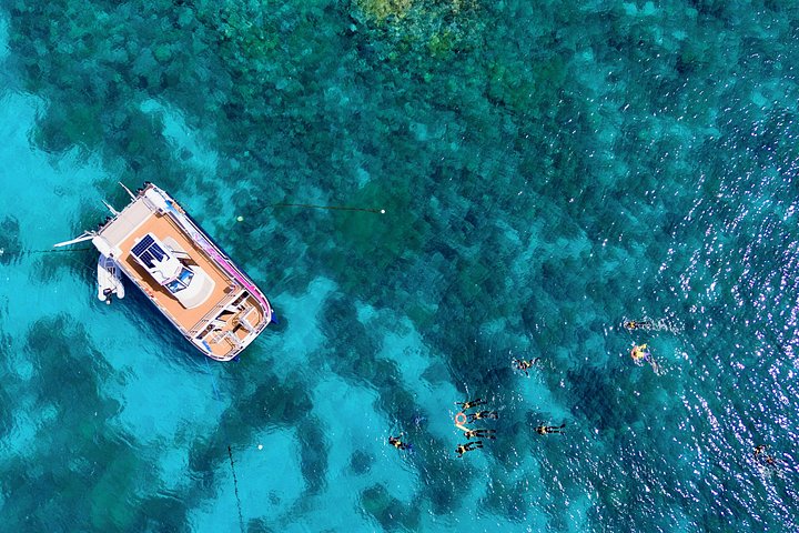 Snorkel het levendige Great Barrier Reef op een snelle boottocht vanuit Cairns met deskundige gidsen, foto 8 | wizardtrip