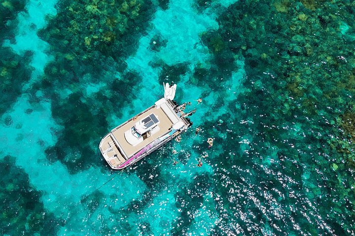 Snorkel het levendige Great Barrier Reef op een snelle boottocht vanuit Cairns met deskundige gidsen, foto 10 | wizardtrip