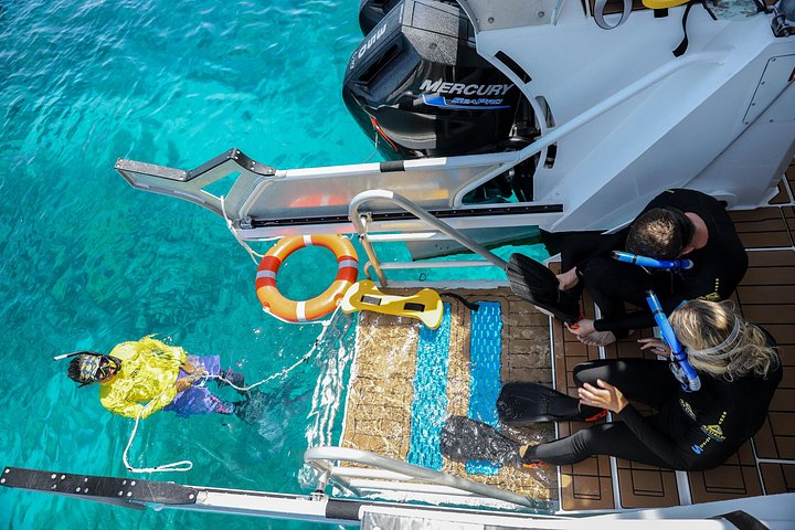 Snorkel het levendige Great Barrier Reef op een snelle boottocht vanuit Cairns met deskundige gidsen, foto 13 | wizardtrip