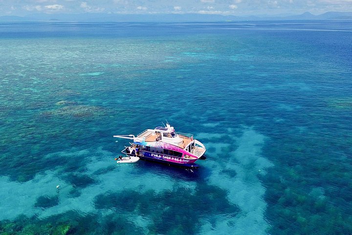 Snorkel het levendige Great Barrier Reef op een snelle boottocht vanuit Cairns met deskundige gidsen, foto 16 | wizardtrip