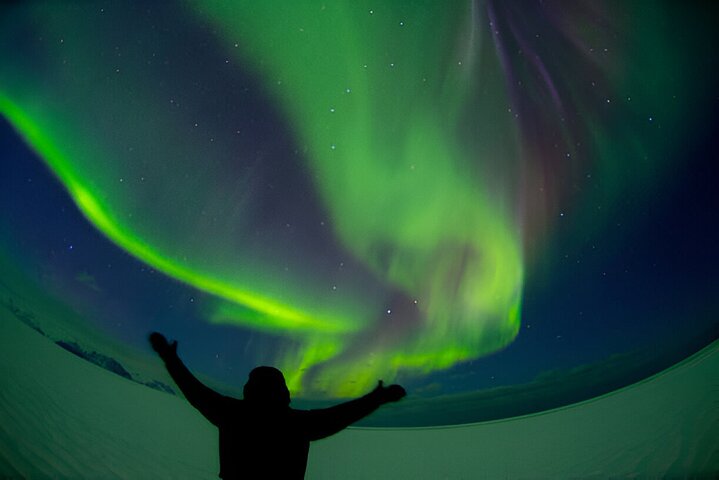Vivi la magia dell'aurora boreale in un tour 4x4 da Reykjavik, con cioccolata calda e pasticcini, foto 11 | wizardtrip