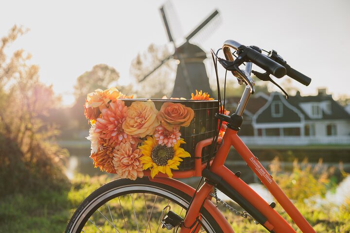 Guidet cykeltur gennem det hollandske landskab fra Amsterdam med vindmøller, gårde og ostesmagning, foto 9 | wizardtrip