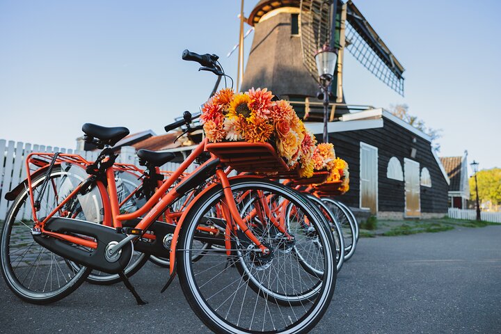 Guidet cykeltur gennem det hollandske landskab fra Amsterdam med vindmøller, gårde og ostesmagning, foto 10 | wizardtrip