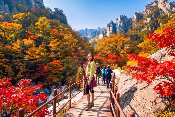 Dagtocht Mt. Seorak+Nami Island+Garden of Morning Calm vanuit Seoul | wizardtrip