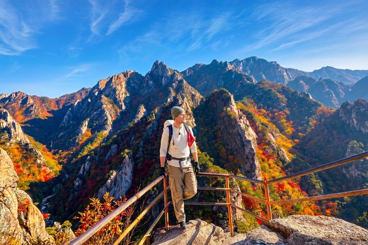 Excursion d'une journée pittoresque depuis Séoul avec le Mont Seorak, l'île de Nami et le Jardin de la Sérénité Matinale, photo 6 | wizardtrip
