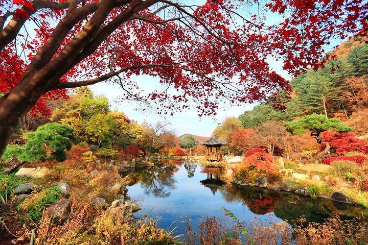 Excursion d'une journée pittoresque depuis Séoul avec le Mont Seorak, l'île de Nami et le Jardin de la Sérénité Matinale, photo 22 | wizardtrip