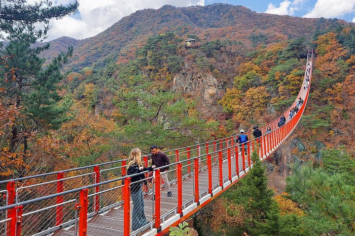 Explore the DMZ, Suspension Bridge, and Gondola on a day trip from Seoul, South Korea, photo 6 | wizardtrip