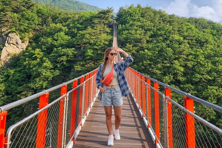 Explore the DMZ, Suspension Bridge, and Gondola on a day trip from Seoul, South Korea, photo 7 | wizardtrip