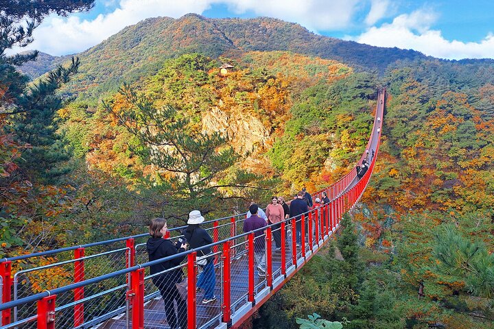Explore the DMZ, Suspension Bridge, and Gondola on a day trip from Seoul, South Korea, photo 8 | wizardtrip