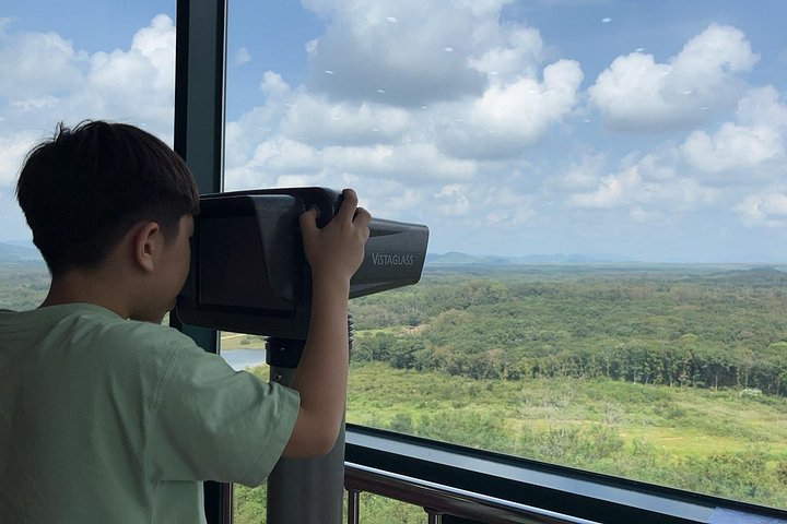 Explore the DMZ, Suspension Bridge, and Gondola on a day trip from Seoul, South Korea, photo 32 | wizardtrip