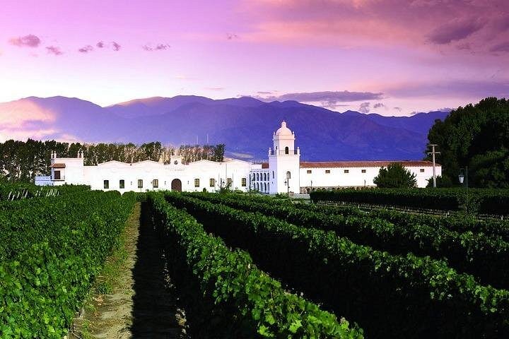Naturskøn tur i Quebrada de las Conchas og Cafayate vinregion fra Salta, Argentina, foto 6 | wizardtrip