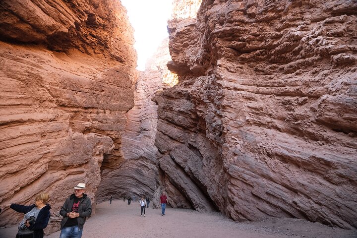 Naturskøn tur i Quebrada de las Conchas og Cafayate vinregion fra Salta, Argentina, foto 10 | wizardtrip