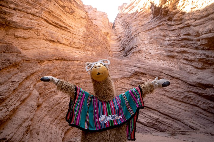Naturskøn tur i Quebrada de las Conchas og Cafayate vinregion fra Salta, Argentina, foto 12 | wizardtrip