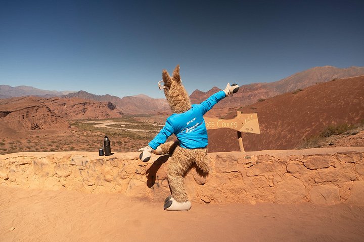 Naturskøn tur i Quebrada de las Conchas og Cafayate vinregion fra Salta, Argentina, foto 14 | wizardtrip
