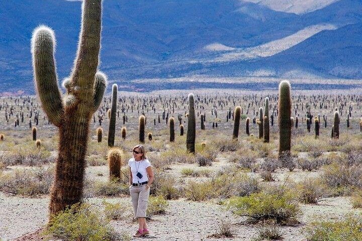 Salta | wizardtrip