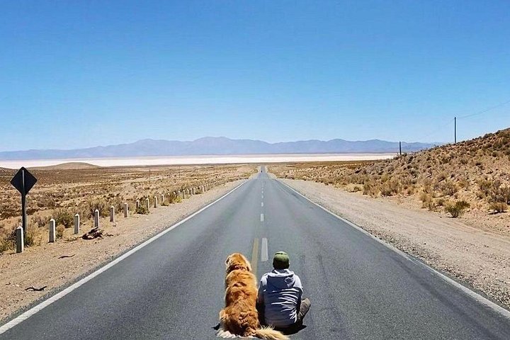Naturskøn tur til Cachi fra Salta, Argentina, med bjerge, ørken og kolonial by, foto 6 | wizardtrip