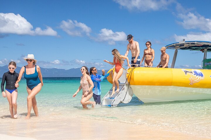 Opplev det livlige marine livet og korallhagene i Great Barrier Reef på en Ocean Safari-tur fra Cape Tribulation, Australia, foto 7 | wizardtrip