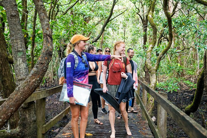 Opplev det livlige marine livet og korallhagene i Great Barrier Reef på en Ocean Safari-tur fra Cape Tribulation, Australia, foto 9 | wizardtrip