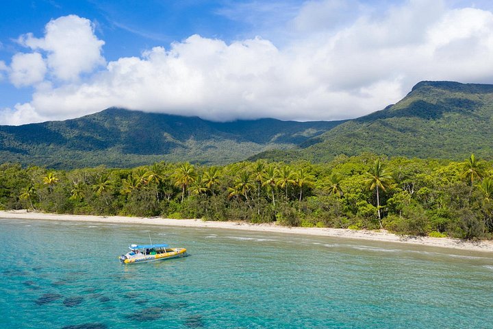 Opplev det livlige marine livet og korallhagene i Great Barrier Reef på en Ocean Safari-tur fra Cape Tribulation, Australia, foto 10 | wizardtrip
