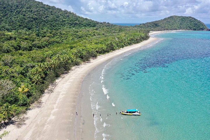 Opplev det livlige marine livet og korallhagene i Great Barrier Reef på en Ocean Safari-tur fra Cape Tribulation, Australia, foto 12 | wizardtrip