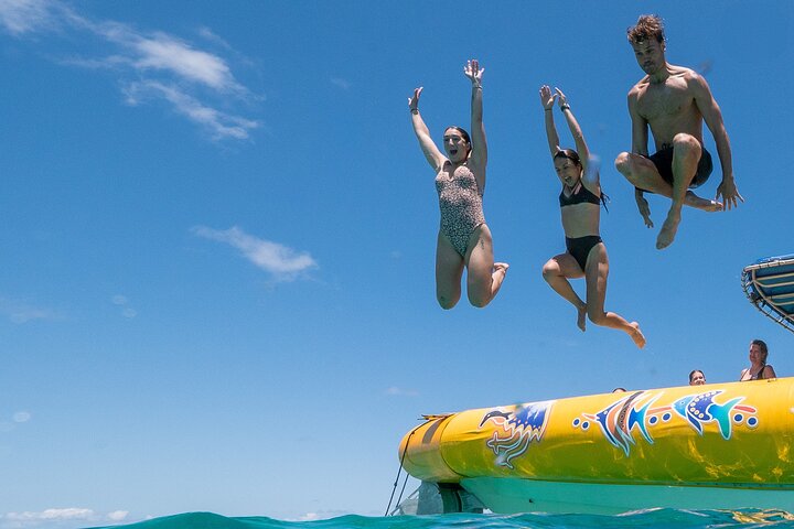 Opplev det livlige marine livet og korallhagene i Great Barrier Reef på en Ocean Safari-tur fra Cape Tribulation, Australia, foto 17 | wizardtrip