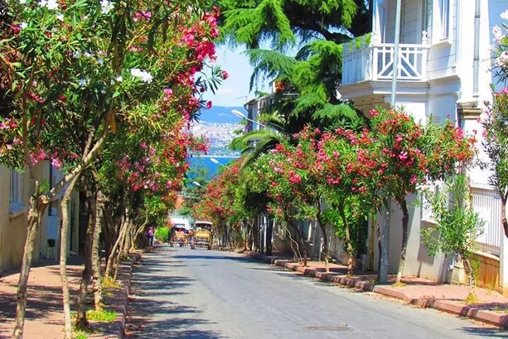 Princess Island (Büyükada) Tour with Lunch and Island Shuttle Car | wizardtrip