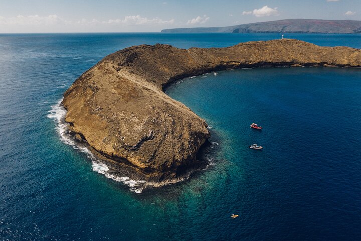 マウイ島発モロキニ島シュノーケルツアー（2時間保証） | wizardtrip
