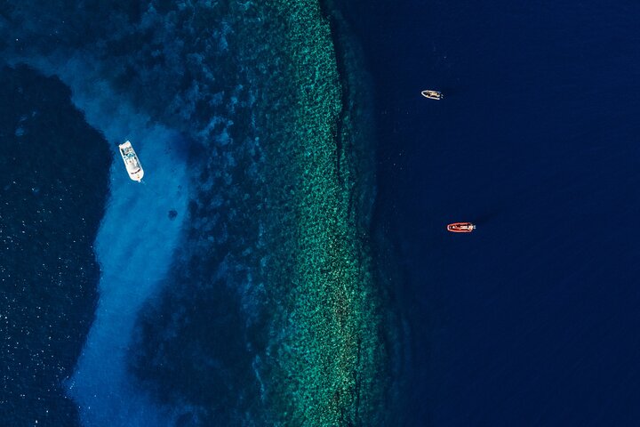 Buceadores explorando la vibrante vida marina del cráter de Molokini en un tour en barco desde Maui, foto 6 | wizardtrip