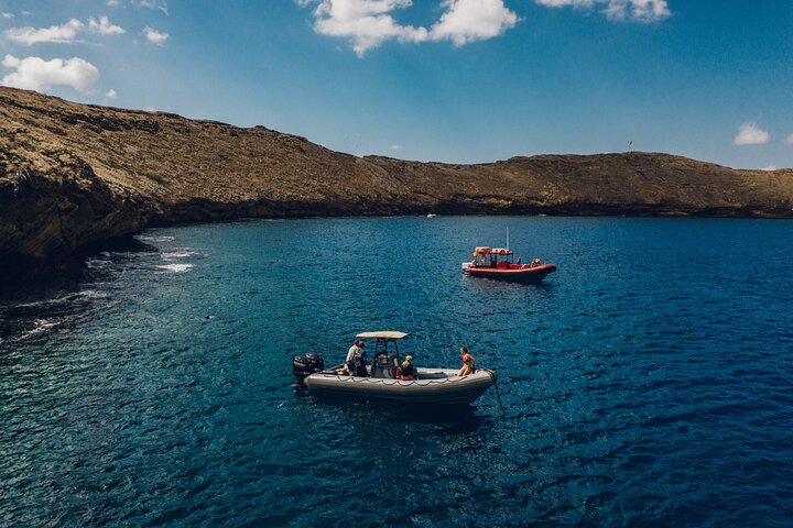 Buceadores explorando la vibrante vida marina del cráter de Molokini en un tour en barco desde Maui, foto 7 | wizardtrip