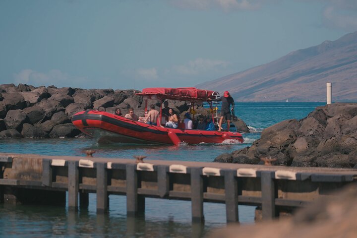Buceadores explorando la vibrante vida marina del cráter de Molokini en un tour en barco desde Maui, foto 8 | wizardtrip