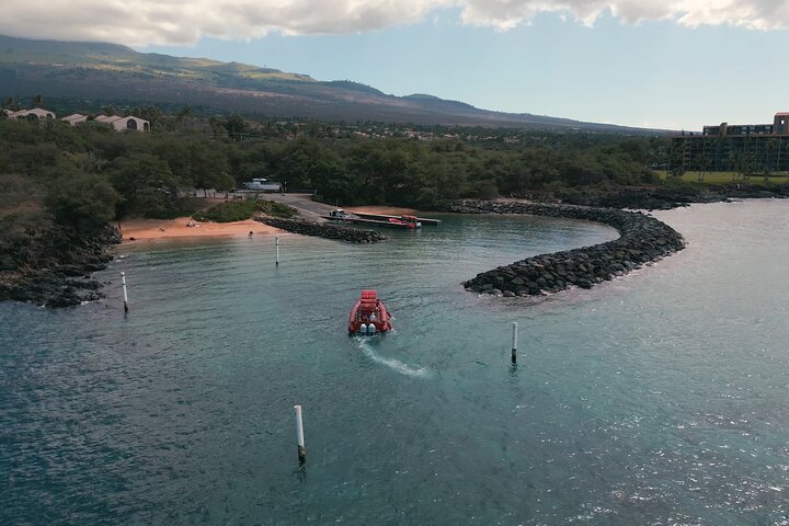 Buceadores explorando la vibrante vida marina del cráter de Molokini en un tour en barco desde Maui, foto 9 | wizardtrip