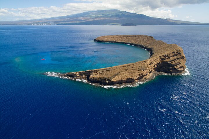 Snorkeling adventure in Maui's Molokini Crater and Turtle Town with vibrant marine life, photo 9 | wizardtrip