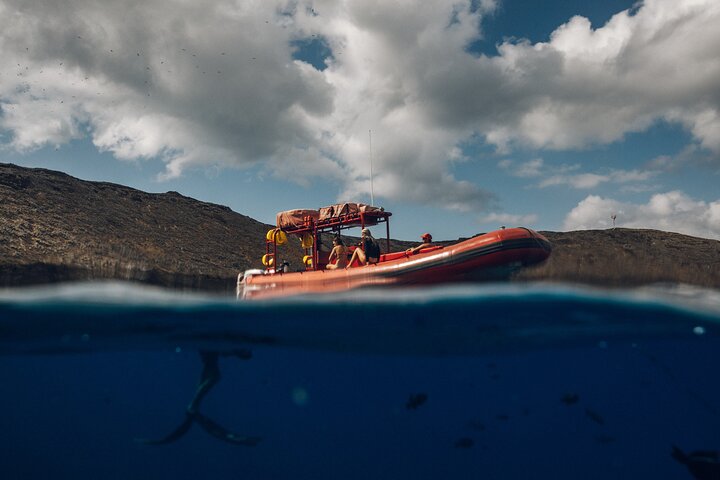 Snorkeling adventure in Maui's Molokini Crater and Turtle Town with vibrant marine life, photo 10 | wizardtrip