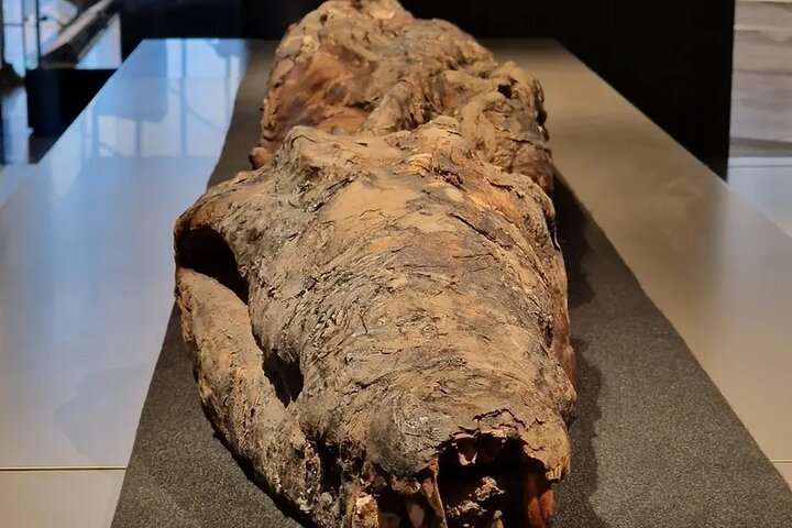 Tour privado de las pirámides de Giza, la Esfinge y el Gran Museo Egipcio en Giza, Egipto, foto 20 | wizardtrip
