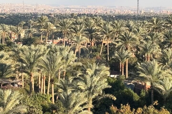 Excursion d'une journée explorant les pyramides égyptiennes antiques et les sites historiques près du Caire, photo 21 | wizardtrip
