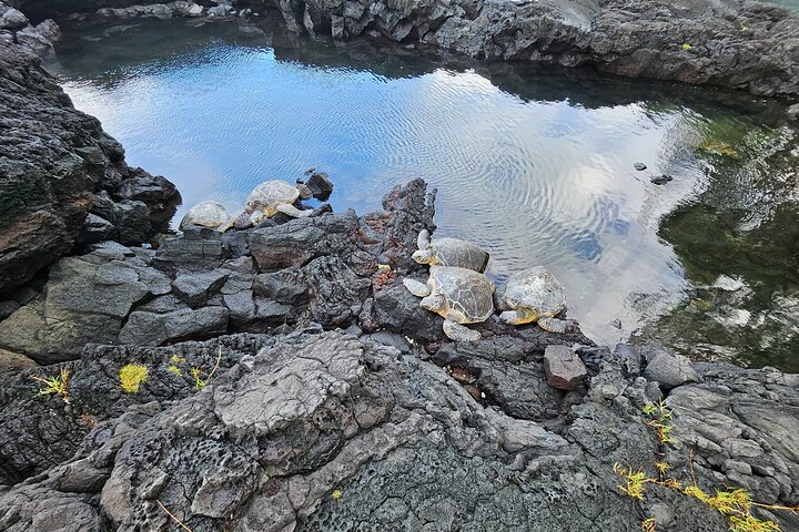 Geführte Tour über Hawaiis Big Island mit Vulkanen, Wasserfällen, Stränden und Hilo-Highlights, Foto 19 | wizardtrip