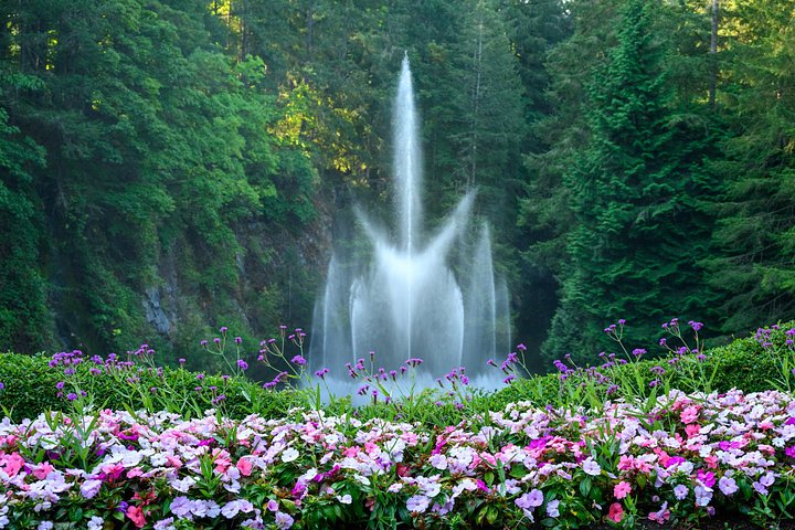 Visite panoramique de Victoria et des jardins Butchart depuis Vancouver, incluant le trajet en ferry et les commentaires guidés, photo 12 | wizardtrip