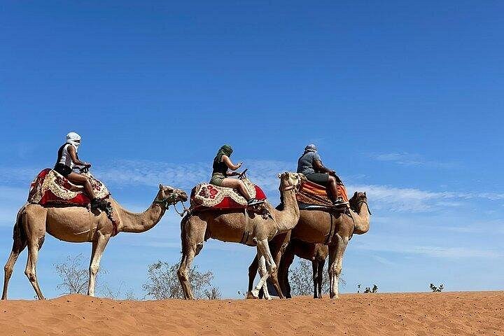 Aventure en Safari 4x4 à Agadir, exploration du désert du Mini Sahara et des villages berbères, photo 11 | wizardtrip