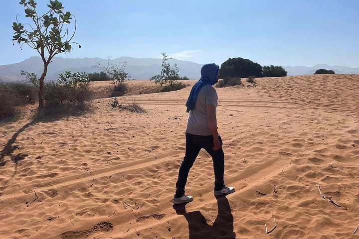 Aventure en Safari 4x4 à Agadir, exploration du désert du Mini Sahara et des villages berbères, photo 12 | wizardtrip