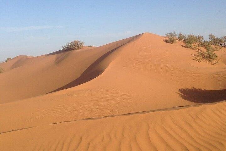 Aventure en Safari 4x4 à Agadir, exploration du désert du Mini Sahara et des villages berbères, photo 16 | wizardtrip