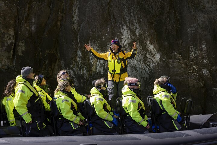 Spannende RIB-boottour door de Noorse Lysefjord, met dramatische kliffen en de Preikestolen nabij Stavanger, foto 14 | wizardtrip