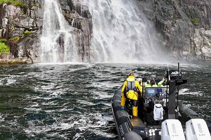 Spannende RIB-boottour door de Noorse Lysefjord, met dramatische kliffen en de Preikestolen nabij Stavanger, foto 25 | wizardtrip